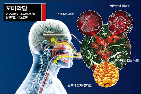 나노 공해에 관한 진실