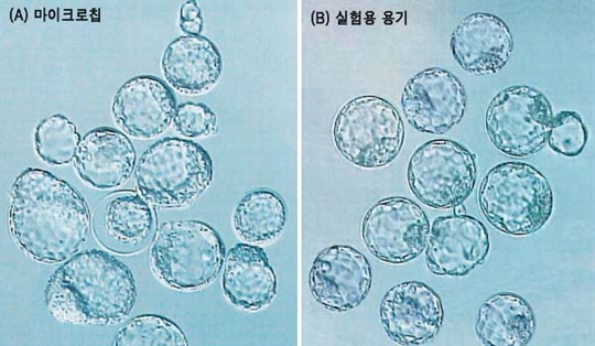 실제 자궁같은  인큐베이터