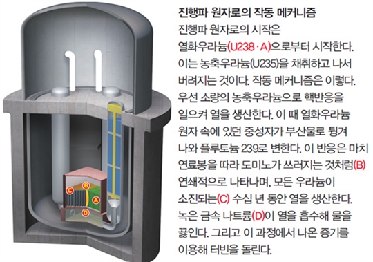 파퓰러사이언스 선정 차세대 원자로