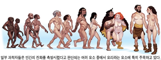 인간의 진화 촉진한 요리