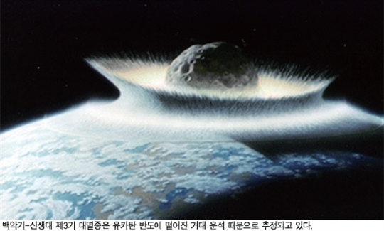 인간에 의한 지구의 6번째 대멸종