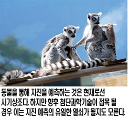 지진예측과 동물들의 이상행동