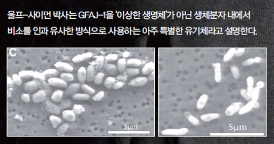 이상한 나라의 과학자