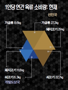 인공 육류 연구소