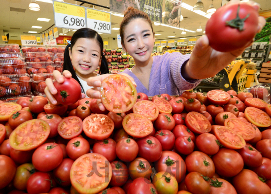 이마트, 국내산 달짝이 토마토 판매