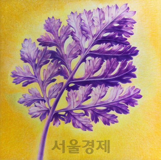 이정란 ‘피버퓨,잎’ 60X60cm, 압축발포PVC 위에 색연필과 아크릴, 2015년작 /사진제공=이정란 작가<BR><BR><span class='sub_ad_banner4'><div id='div-gpt-ad-1567043459465-0' ><script>googletag.cmd.push(function() { googletag.display('div-gpt-ad-1567043459465-0'); });</script></div></span>