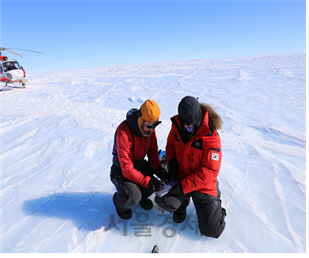 남극 장보고과학기지 대원들이 발견한 운석을 담고 있다. 장보고과학기지는 지난 2년간 166개의 운석을 발견했다./사진제공=해양수산부
