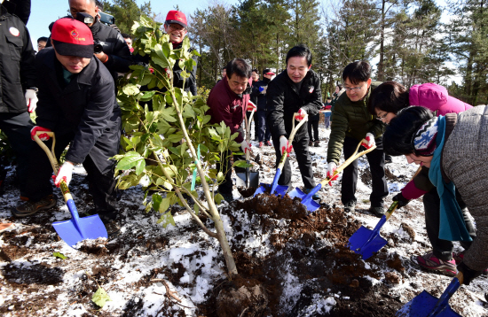 산림청, 제주서 2016년 첫 나무심기 행사