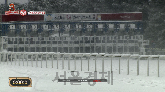 매크로닉스 디지털 영상개선시스템 적용 후의 모습/ 사진제공=매크로닉스