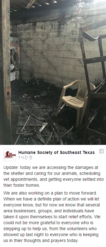 미국 텍사스 남부의 동물 보호협회 (HSSET) 페이스북 공식 페이지 캡쳐