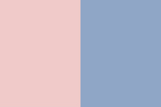 미국 색채 전문 기업 팬톤(Pantone)이 올해의 컬러로 로즈 쿼츠(Rose Quartz·왼쪽)와 세레니티(Serenity)를 꼽았다. /사진=구글