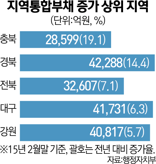 2615A02 지역통합부채