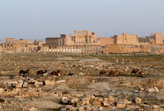 시리아 고대유적도시 팔미라 최대 신전인 벨 신전이 훼손되기 전 모습. IS는 지난해 8월 ‘우상숭배’를 금지한다며 벨 신전 파괴를 자행했다. /자료=위키피디아