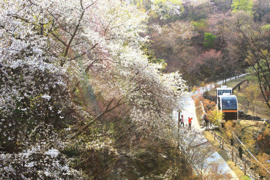 곤지암 화담숲 전경. /사진제공=곤지암리조트