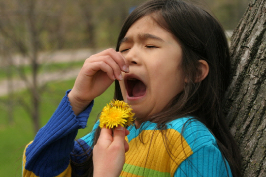 아이가 꽃가루 때문에 기침을 하고 있는 모습이다./ 출처=이미지투데이