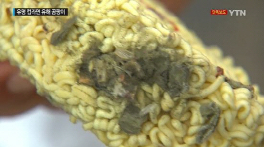 국내 유명 식품업체 컵라면에서 곰팡이가 발견돼 논란이 되고 있다./ 출처=YTN 화면 캡처