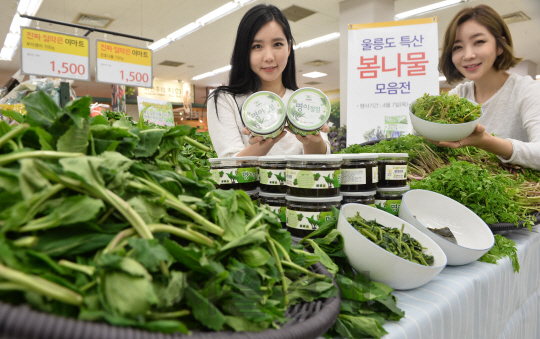 '울릉도에서 건너온 봄나물 맛보세요'