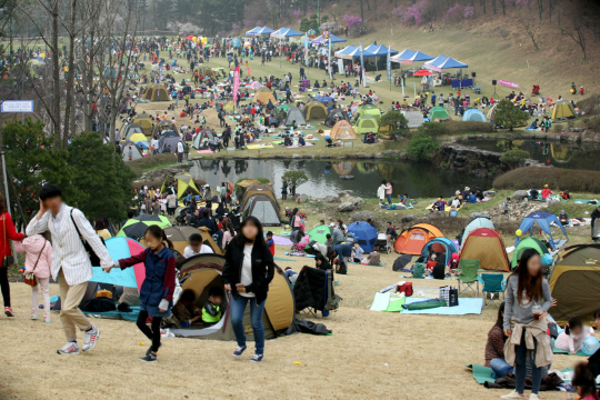 신안그룹이 지난 9일 리베라CC의 골프장을 개방해 개최한 ‘이웃과 함께하는 리베라CC 벚꽃 축제’에 3만여명의 인파가 몰렸다. /사진제공=신안