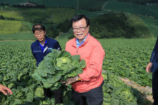 농림축산식품부는 지난 11일 ‘긴급 농산물 수급점검회의’를 열고 4월 중순까지 배추와 무에대한 정부비축물량 공급을 늘리기로 했다고 12일 밝혔다. 이동필 장관이 지난해 8월 강원도 태백시 고랭지배추 재배현장을 방문해 배추 상태를 점검하고 있다. /사진제공=농림축산식품부