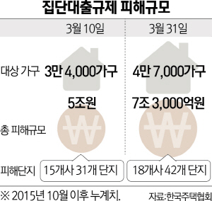 1315A17 집단대출규제