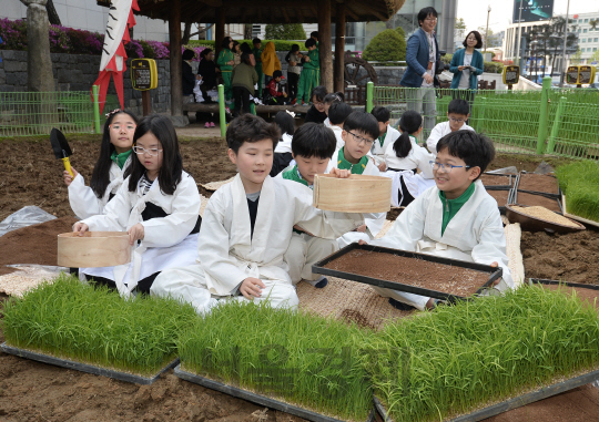 곡우(穀雨)를 하루 앞둔 19일 오전 서울 서대문구 농협 농업박물관 야외농원에서 열린 모판 만들기 체험행사에서 미동초등학교 학생들이 모판에 상토를 채우고 있다./송은석기자songthomas@sedaily.com