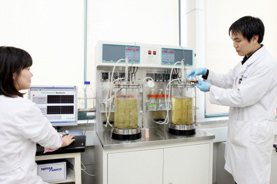 서울대학교에 위치한 SPC식품생명공학연구소에서 연구원들이 천연효모를 배양하는 실험을 하고 있다./사진제공=SPC