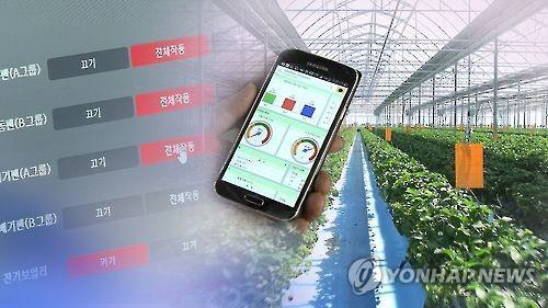 정보통신기술(ICT)을 활용한 스마트팜의 모습/ 사진=연합뉴스