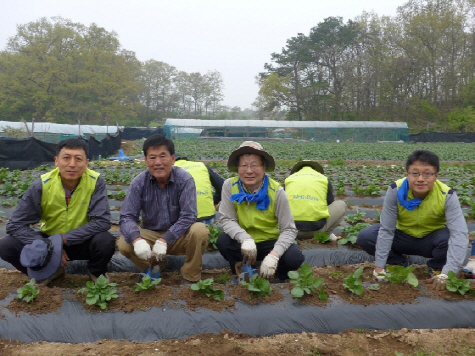 NH농협금융지주, 농촌일손돕기 봉사활동 진행