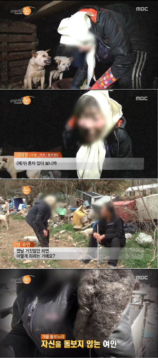 ‘리얼스토리 눈’ ㄱ자 들개 엄마, 그녀는 왜 남의 땅에서 개를 키우나?