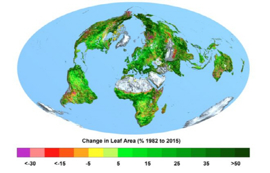 1982년부터 2015년까지 지구의 녹화 면적 변화. 대부분의 지역이 녹화 면적이 증가하는 초록색으로 표시된 것을 알수 있다.  /사진=BBC