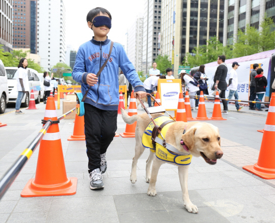 27일 서울 청계광장에서 진행된 ‘세계 안내견의 날’ 기념행사에서 시민들이 안내견과의 체험 보행 코너를 체험해보고 있다. 세계 안내견의 날은 세계 28개국 84개 단체가 참여해 매년 4월 마지막 수요일에 행사를 진행하며 국내에서는 삼성화재안내견학교가 유일하게 회원사로 참여하고 있다. /사진제공=에버랜드