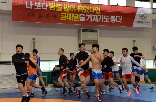 브라질 리우올림픽 개막을 100일 앞두고 있는 27일 레슬링 국가대표선수들이 태릉선수촌 레슬링연습장에서 금매달을 향해 구슬땀을  흘리고 있다./이호재기자.s020792@sedaily.com