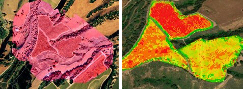 프레시전호크가 작물을 분석하는 방법은 다양하다. 다중 스펙트럼 형상(왼쪽)은 육안으로 보이지 않는 그 이상을 감지한다. 농장 균일성 알고리즘(오른쪽)은 작물의 상대적 밀도와 건강도를 수치화한다.
