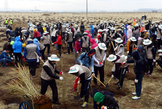 10일(현지시간) 대한항공 임직원, 몽골 주민들이 몽골 올란바토르 바가노르 사막지역에서 포플러, 비술나무, 차차르간 등 나무심기 봉사활동을 펼치고 있다.   지구를 푸르게 가꾸는 사회공헌 활동 '글로벌 플랜팅 프로젝트(Global Planting Project)'의 일환으로 몽골사막에서 13년째 계속되고 있는 대한항공 숲 조성사업은 올해 1만여 그루를 심어, 총 44ha 면적에 약 10만여 그루의 나무들이 자라는 숲으로 조성된다. 이번 봉사활동은 대한항공 입사 2년차 신입직원 180명을 포함한 임직원 200여명과 현지 주민 등 총 600여