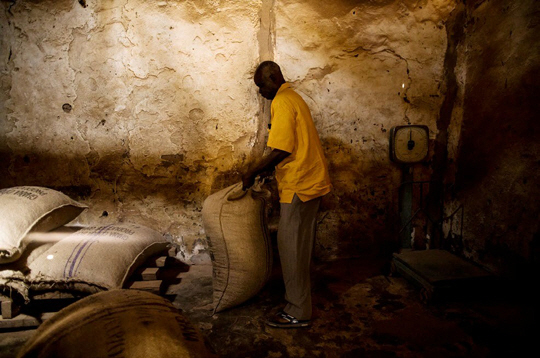 가나의 한 농부가 자그마한 건물에 보관 중인 말린 코코아 열매 자루를 검수하고 있다.