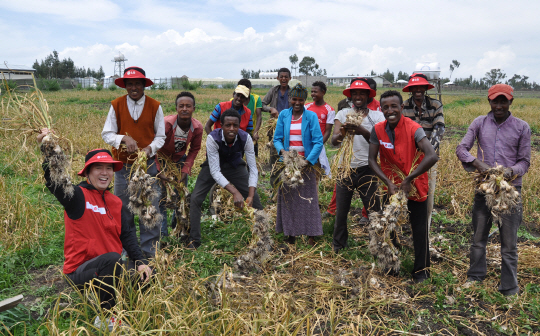 지난 18일(현지시간) 에티오피아 LG희망마을에서 마을 주민들이 마늘을 수확하고 환하게 웃고 있다. /사진제공=LG전자
