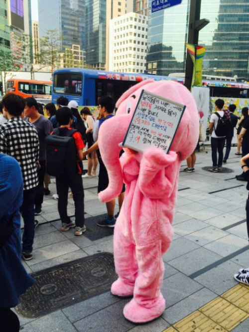 강남역 추모공간 ‘핑크 코끼리 논란’ 수사 착수