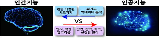 정부가 인공지능(AI)와 인간 뇌의 작동원리를 연구한 자연지능(NI) 간 연계기술 개발을 추진하는 등 오는 2023년까지 뇌연구 신흥강국으로 도약하기 위한 ‘뇌과학 발전전략’을 수립해 30일 발표했다./사진제공=미래창조과학부