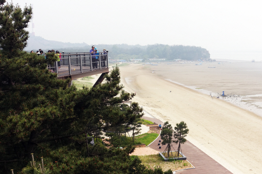 장항스카이워크는 장항 송림 숲을 발아래에 두고 15m 높이로 철구조물을 조립해 만든 하늘 길이다. 계단을 올라 236m를 걸으면 금강하구와 서해바다, 그리고 장항제련소까지 한눈에 들어온다.