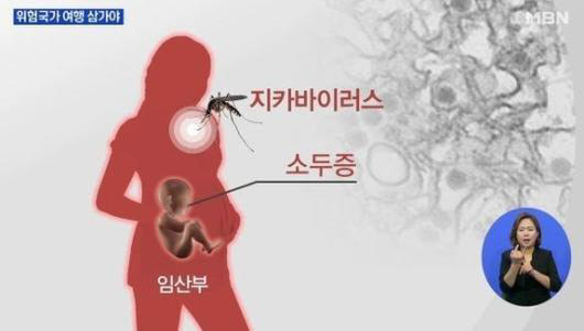 제주, 지카바이러스 의심환자 발생 ‘필리핀 여행 다녀온 제주 40대 女’