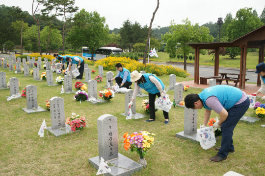 특구진흥재단 직원 30여명이 태극기 회수 및 쓰레기 수거 등 묘역 미화활동을 하고 있다. 사진제공=연구개발특구진흥재단