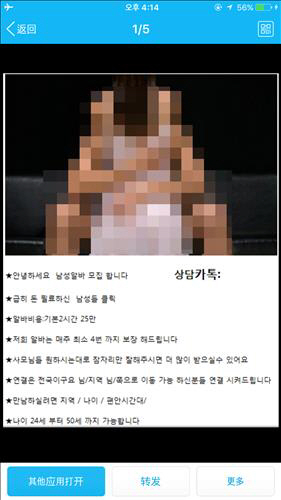 사모님과 시간 보낼 ‘고액 제비’를 모집한다며 구인광고를 낸 신종 보이스피싱 사기 조직이 나왔다. /출처=시흥경찰서