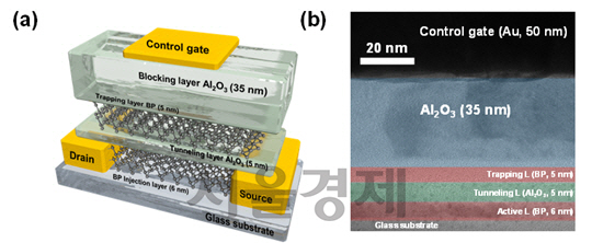 한국과학기술연구원이 개발에 성공한 2차원 흑린 원자막 소재 기반의 전하주입형 메모리 소자. 사진은 완성된 흑린 전하주입형 메모리 소자의 모식도와 실제 소자의 단면 TEM 분석 사진./사진제공=한국과학기술연구원