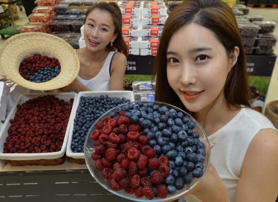 15일 서울 이마트 용산점에서 모델들이 '국산의 힘 프로젝트' 신규 상품인 청도 산딸기, 화순 생 블루베리를 선보이고 있다. 청정 생태보호지역에서 화학비료를 전혀 사용하지 않은 청도 운문산딸기와 날씨와 유리온실에서 생산돼 병충해의 영향을 적게 받은 화순 생블루베리는 오는 16일부터 각각 6,980원(500g/박스), 5,480원(20g/팩)에 판매된다./송은석기자songthomas@sedaily.com