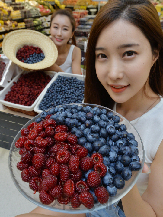 15일 서울 이마트 용산점에서 모델들이 '국산의 힘 프로젝트' 신규 상품인 청도 산딸기, 화순 생 블루베리를 선보이고 있다. 청정 생태보호지역에서 화학비료를 전혀 사용하지 않은 청도 운문산딸기와 날씨와 유리온실에서 생산돼 병충해의 영향을 적게 받은 화순 생블루베리는 오는 16일부터 각각 6,980원(500g/박스), 5,480원(20g/팩)에 판매된다./송은석기자songthomas@sedaily.com