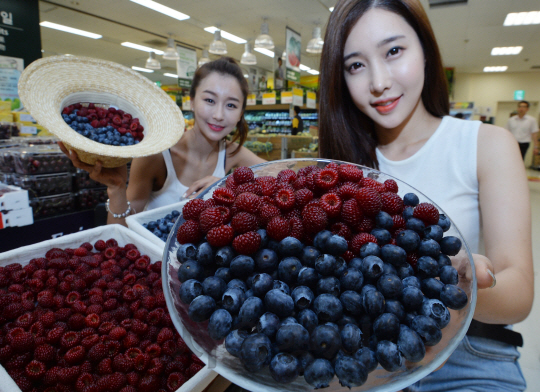 15일 서울 이마트 용산점에서 모델들이 '국산의 힘 프로젝트' 신규 상품인 청도 산딸기, 화순 생 블루베리를 선보이고 있다. 청정 생태보호지역에서 화학비료를 전혀 사용하지 않은 청도 운문산딸기와 날씨와 유리온실에서 생산돼 병충해의 영향을 적게 받은 화순 생블루베리는 오는 16일부터 각각 6,980원(500g/박스), 5,480원(20g/팩)에 판매된다./송은석기자songthomas@sedaily.com