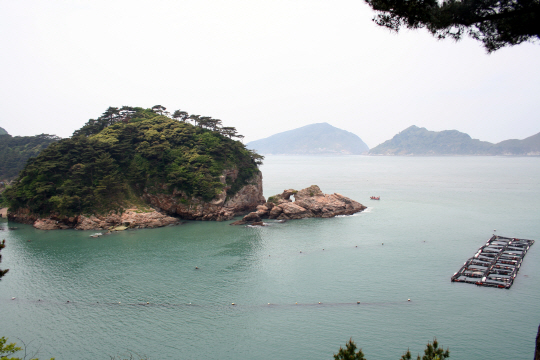 흑산도 지도바위 인근의 전복 양식장.   /서울경제DB