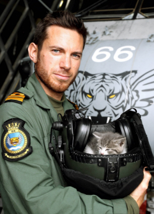 300마일을 달려온 차안에서 고양이를 구한 해군이 화제다./출처=Royal Navy 트위터