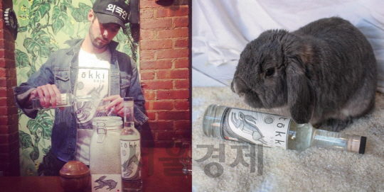 미국인이 만든 한국전통소주 ‘토끼(tokki)’ / 출처 = tokki_soju 인스타그램