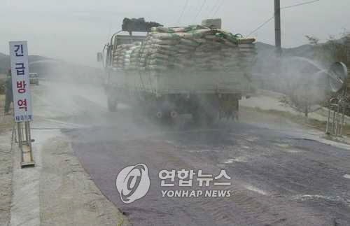 구제역 발생 지역에서 긴급방역을 실시하고 있는 모습. / 사진=연합뉴스